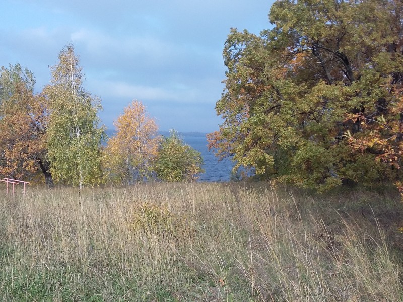 Ставропольский район, Больше-Рязанское лесничество
