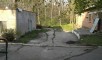 Сызранский район, п. Красный Миронов