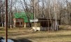 Ставропольский район, Больше-Рязанское лесничество