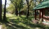 Ставропольский район, Больше-Рязанское лесничество