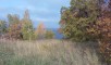 Ставропольский район, Больше-Рязанское лесничество