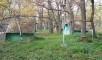 Ставропольский район, Больше-Рязанское лесничество