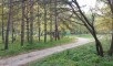 Ставропольский район, Больше-Рязанское лесничество