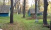 Ставропольский район, Больше-Рязанское лесничество