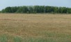 Ставропольский район,с. Подстепки