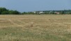 Ставропольский район,с. Подстепки