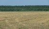 Ставропольский район,с. Подстепки
