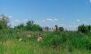 Самарская обл., г. Тольятти, Автозаводский р-н, Промзона, ул. Северная